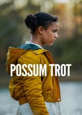 Filmplakat Sound of Hope - Die Geschichte von Possum Trot